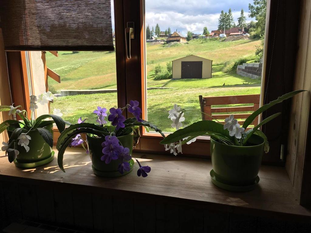 Willa Huragan Bukowina Tatrzanska Bagian luar foto